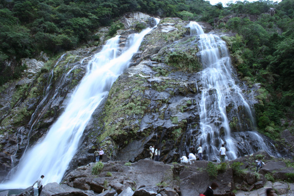 ���̑�